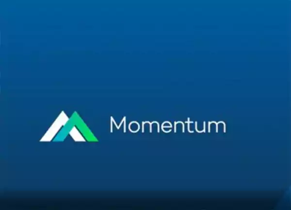 The Momentum