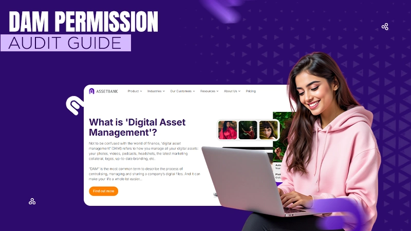 dam permission audit guide