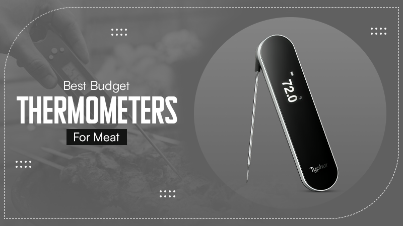 Best Budget Meat Thermometers (1)