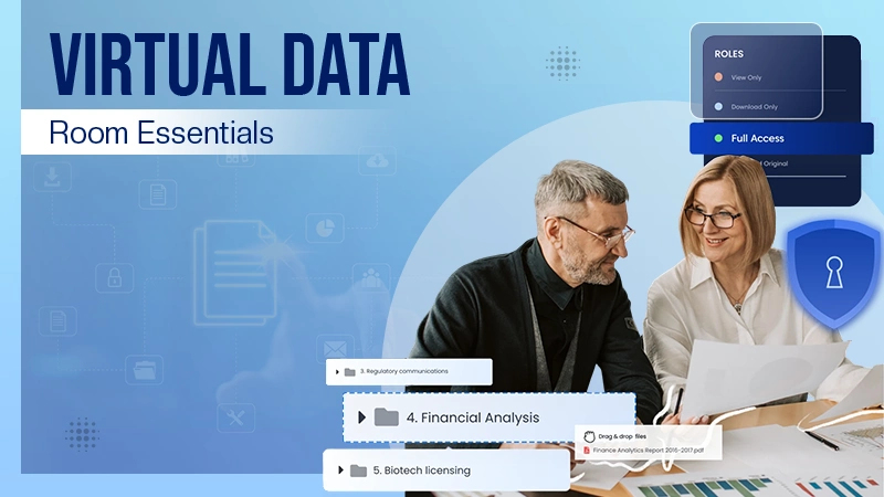 Virtual Data Room Essentials