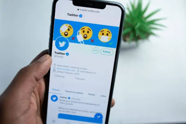An X/Twitter Profile