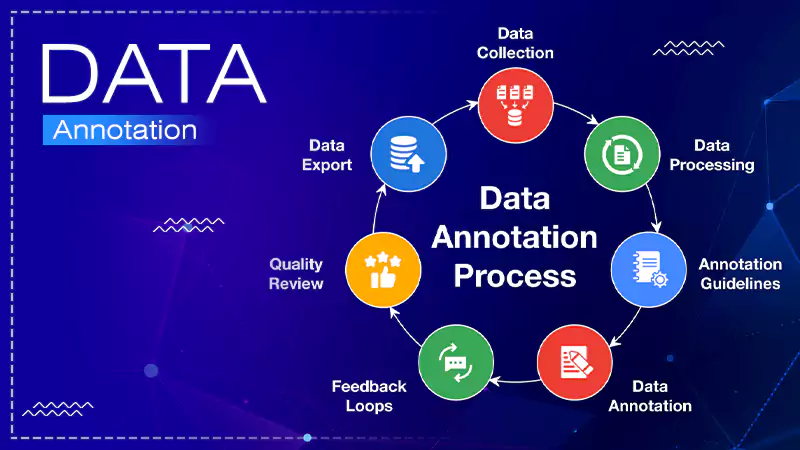 Data Annotation