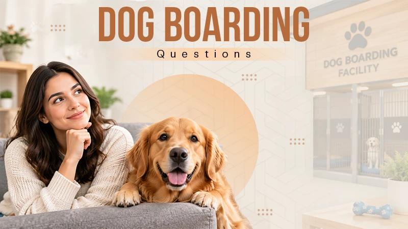 5 Questions To Ask Your Chosen Dog Boarding Facility